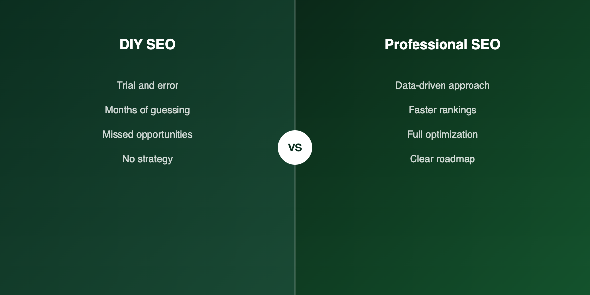 DIY vs professional SEO